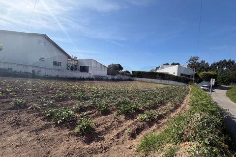 Helårsgrund i Aveiro, Aveiro, Aveiro - € 87.500 | Ref: 183 - foto 5