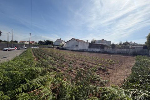 Helårsgrund i Aveiro, Aveiro, Aveiro - € 87.500 | Ref: 183 - foto 7