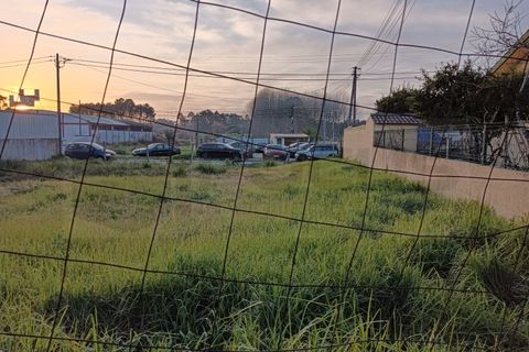 Terra a Sosa, Aveiro, Sosa - € 55.000 | Ref: 7052 - foto 5