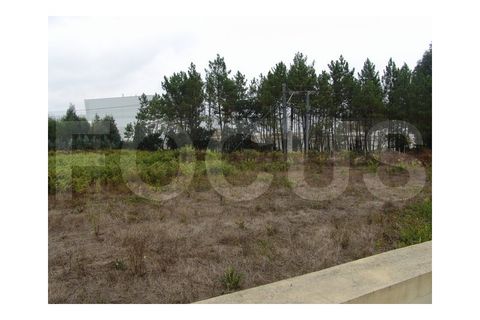 Helårsgrund i Oia, Aveiro, Oia - € 35.000 | Ref: 7021 - foto 3