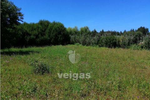 Terra a Batalha, Leiria, Batalha - € 87.500 | Ref: LIZ-210251 - foto 6