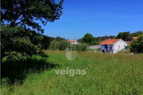 Terra a Batalha, Leiria, Batalha - € 87.500 | Ref: LIZ-210251 - foto 8