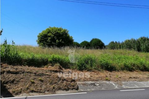 Terra a Batalha, Leiria, Batalha - € 87.500 | Ref: LIZ-210251 - foto 10