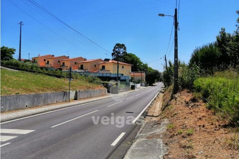 Terra a Batalha, Leiria, Batalha - € 87.500 | Ref: LIZ-210251 - foto 12