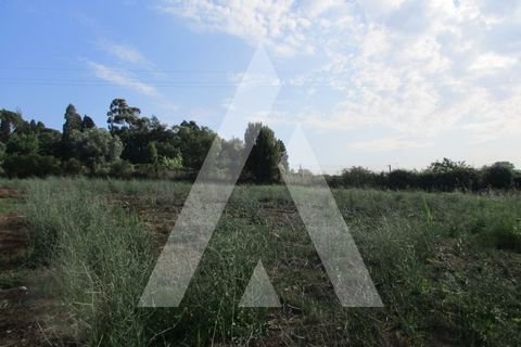 Helårsgrund i Anadia, Aveiro, Anadia - € 35.000 | Ref: 1050940/22OB - foto 2