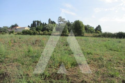 Helårsgrund i Anadia, Aveiro, Anadia - € 35.000 | Ref: 1050940/22OB - foto 3