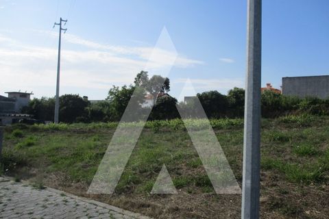 Helårsgrund i Anadia, Aveiro, Anadia - € 35.000 | Ref: 1050940/22OB - foto 4