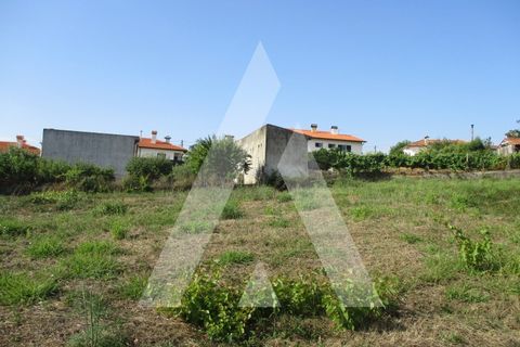 Helårsgrund i Anadia, Aveiro, Anadia - € 35.000 | Ref: 1050940/22OB - foto 5