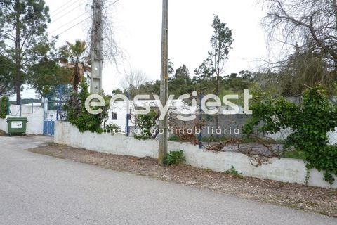 Erhvervsejendom i Abrantes, Santarem, Abrantes - € 185.000 | Ref: TM19860 - foto 2