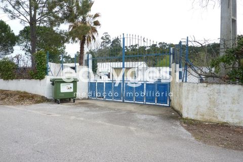 Erhvervsejendom i Abrantes, Santarem, Abrantes - € 185.000 | Ref: TM19860 - foto 3