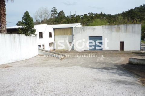 Erhvervsejendom i Abrantes, Santarem, Abrantes - € 185.000 | Ref: TM19860 - foto 4