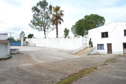Erhvervsejendom i Abrantes, Santarem, Abrantes - € 185.000 | Ref: TM19860 - foto 20