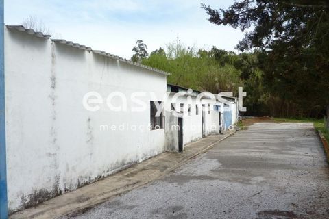 Erhvervsejendom i Abrantes, Santarem, Abrantes - € 185.000 | Ref: TM19860 - foto 27