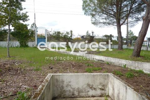 Erhvervsejendom i Abrantes, Santarem, Abrantes - € 185.000 | Ref: TM19860 - foto 28