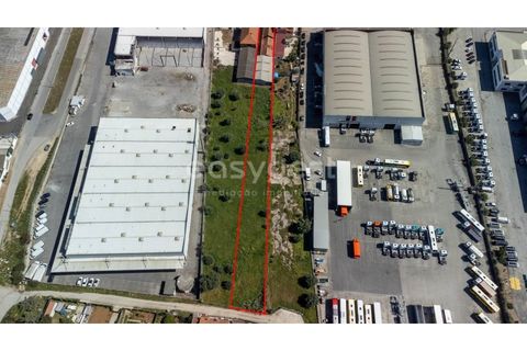 Helårsgrund i Alverca do Ribatejo, Lisbon, Alverca do Ribatejo - € 4.250.000 | Ref: ST89323EP - foto 5