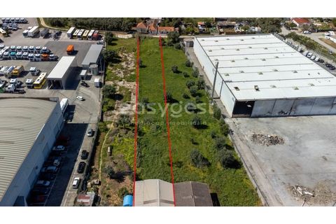 Helårsgrund i Alverca do Ribatejo, Lisbon, Alverca do Ribatejo - € 4.250.000 | Ref: ST89323EP - foto 7