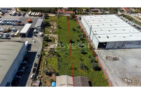 Helårsgrund i Alverca do Ribatejo, Lisbon, Alverca do Ribatejo - € 4.250.000 | Ref: ST89323EP - foto 14