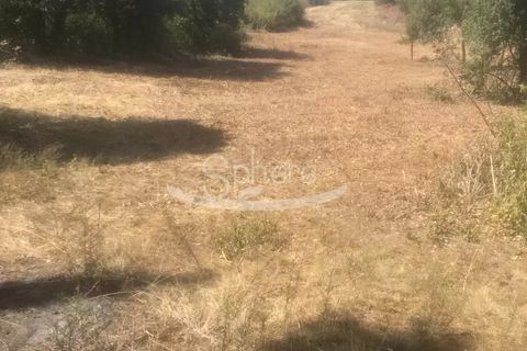 Helårsgrund i Limoux, Aude, Limoux - € 55.000 | Ref: 2142 - foto 4
