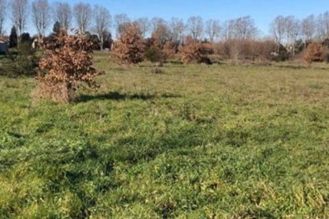 Villa i Eaunes, Haute-Garonne, Eaunes - € 301.900 | Ref: TL160820226 - foto 2