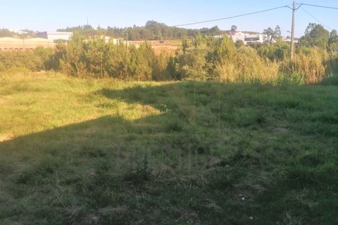 Tomt i Cernache, Coimbra, Cernache - € 80 000 | Ref: NP2978 - foto 4
