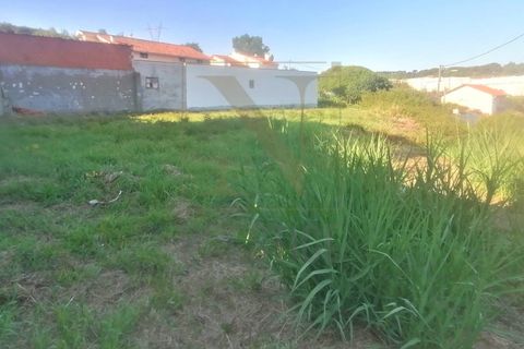 Tomt i Cernache, Coimbra, Cernache - € 80 000 | Ref: NP2978 - foto 6