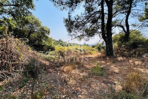 Helårsgrund i Viana do Castelo, Viana do Castelo, Viana do Castelo - € 140.000 | Ref: F746 - foto 2