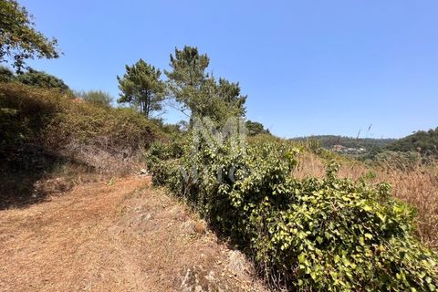 Helårsgrund i Viana do Castelo, Viana do Castelo, Viana do Castelo - € 140.000 | Ref: F746 - foto 3
