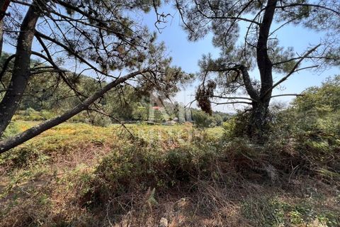 Helårsgrund i Viana do Castelo, Viana do Castelo, Viana do Castelo - € 140.000 | Ref: F746 - foto 4