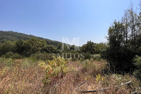 Helårsgrund i Viana do Castelo, Viana do Castelo, Viana do Castelo - € 140.000 | Ref: F746 - foto 5