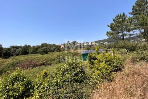 Helårsgrund i Viana do Castelo, Viana do Castelo, Viana do Castelo - € 140.000 | Ref: F746 - foto 6