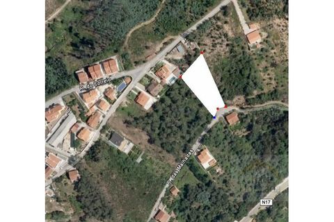 Tomt i Ceira, Coimbra, Ceira - € 70 000 | Ref: 15322 - foto 5
