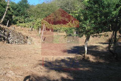 Helårsgrund i Vila Verde, Braga, Vila Verde - € 30.000 | Ref: 07714 - foto 9
