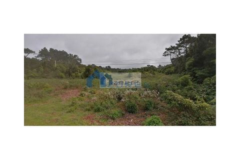 Helårsgrund i Candelaria, Pico, Candelaria - € 89.000 | Ref: AZO1-0059 - foto 9