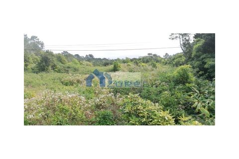 Helårsgrund i Candelaria, Pico, Candelaria - € 89.000 | Ref: AZO1-0059 - foto 10