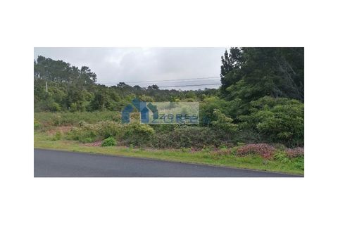 Helårsgrund i Candelaria, Pico, Candelaria - € 89.000 | Ref: AZO1-0059 - foto 8