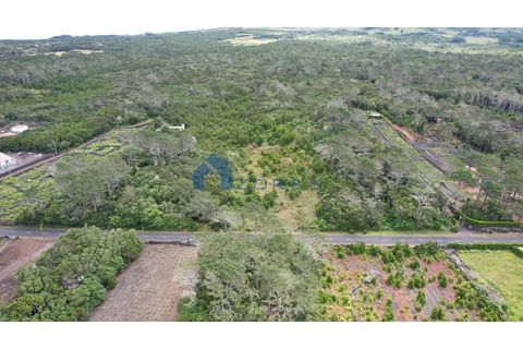 Helårsgrund i Candelaria, Pico, Candelaria - € 89.000 | Ref: AZO1-0059 - foto 2