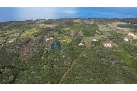 Helårsgrund i Candelaria, Pico, Candelaria - € 89.000 | Ref: AZO1-0059 - foto 3