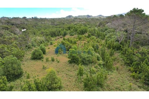 Helårsgrund i Candelaria, Pico, Candelaria - € 89.000 | Ref: AZO1-0059 - foto 5
