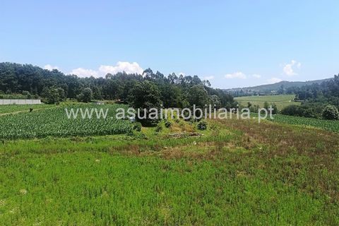 Helårsgrund i Amares, Braga, Amares - € 50.000 | Ref: 170272 - foto 3