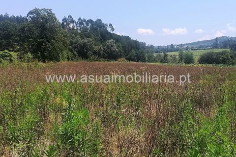 Helårsgrund i Amares, Braga, Amares - € 50.000 | Ref: 170272 - foto 4