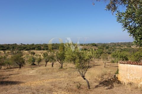Farm i Algoz, Faro, Algoz - € 1.100.000 | Ref: LC_005 - foto 5