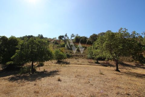 Farm i Algoz, Faro, Algoz - € 1.100.000 | Ref: LC_005 - foto 6