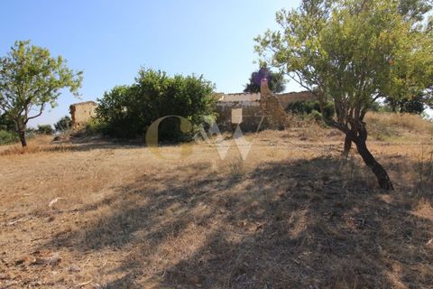 Farm i Algoz, Faro, Algoz - € 1.100.000 | Ref: LC_005 - foto 7