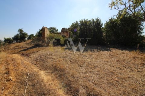 Farm i Algoz, Faro, Algoz - € 1.100.000 | Ref: LC_005 - foto 8