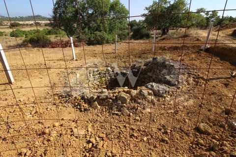 Farm i Algoz, Faro, Algoz - € 1.100.000 | Ref: LC_005 - foto 9