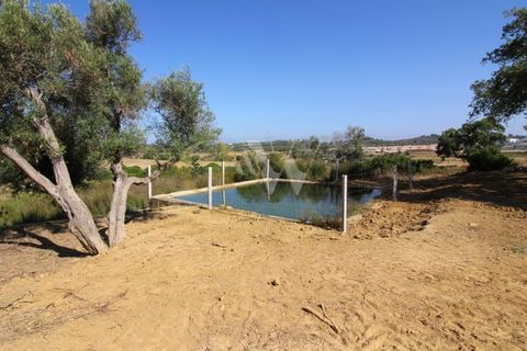 Farm i Algoz, Faro, Algoz - € 1.100.000 | Ref: LC_005 - foto 10