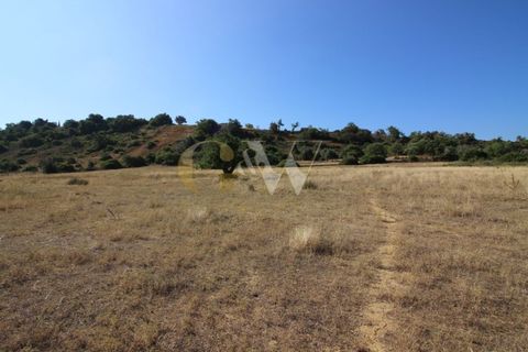 Farm i Algoz, Faro, Algoz - € 1.100.000 | Ref: LC_005 - foto 11
