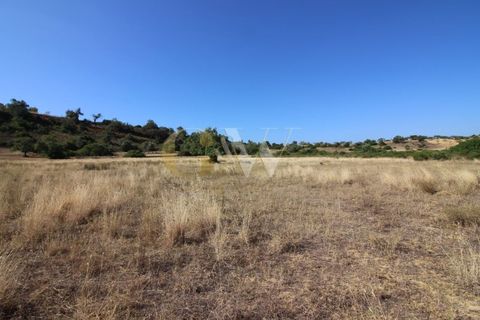 Farm i Algoz, Faro, Algoz - € 1.100.000 | Ref: LC_005 - foto 12
