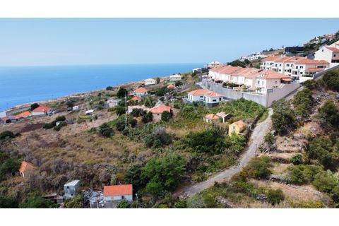 Helårsgrund i Caniço, Madeira, Caniço - € 170.000 | Ref: TER_67 - foto 3