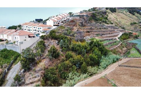 Helårsgrund i Caniço, Madeira, Caniço - € 170.000 | Ref: TER_67 - foto 6